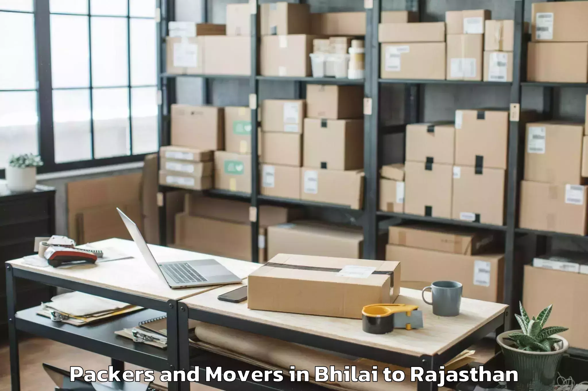 Reliable Bhilai to Pipalda Packers And Movers